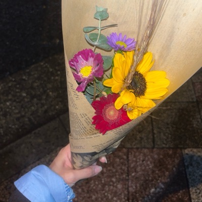 大和撫子金無子