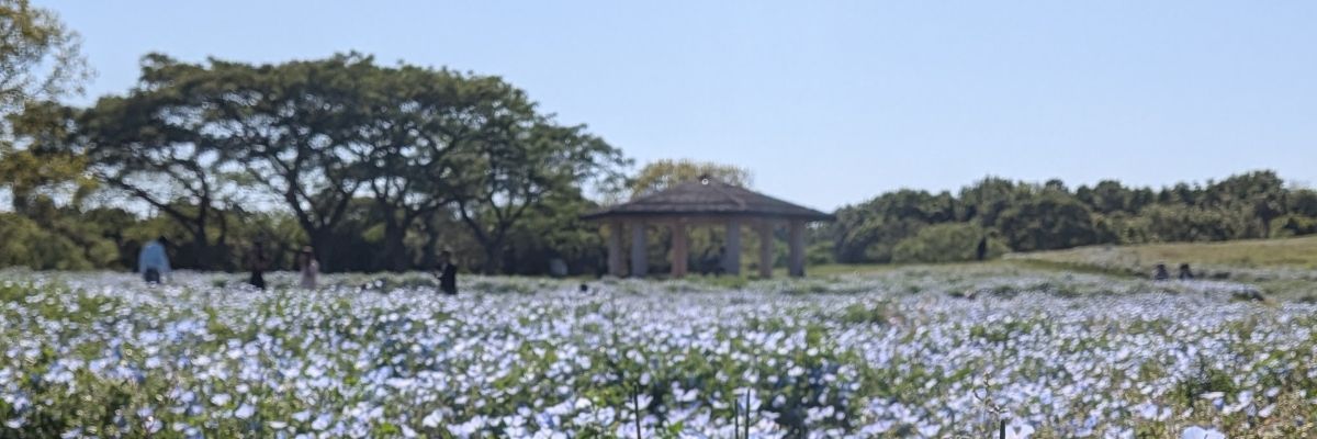 あやの