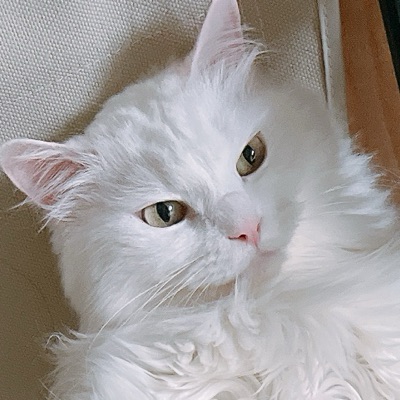 こふぃ