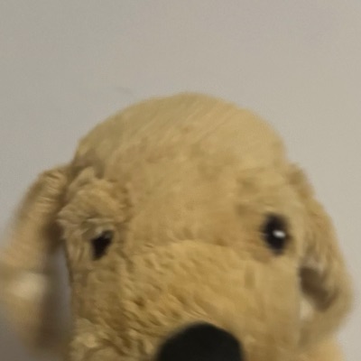 しずわん
