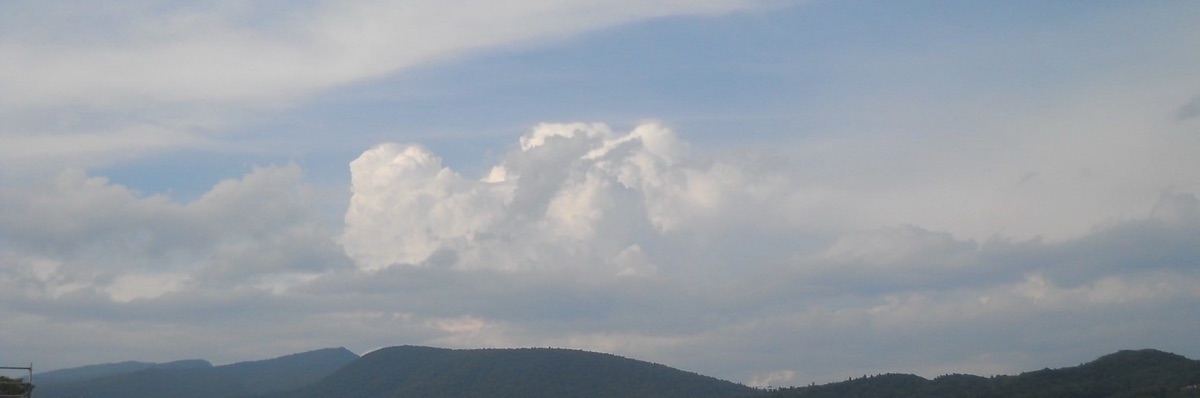 露