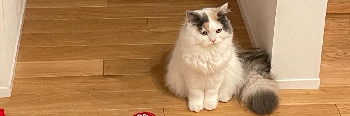 ににに