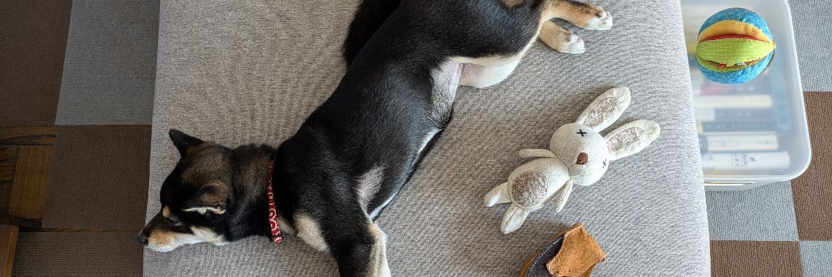 みやちゃん
