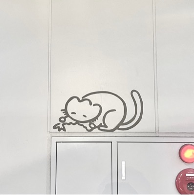 ⊹ ࣪