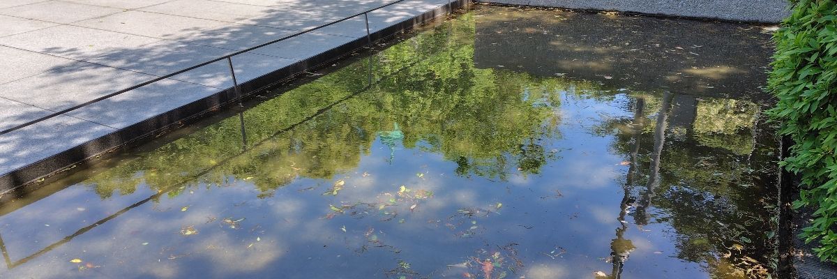 なぎの庭
