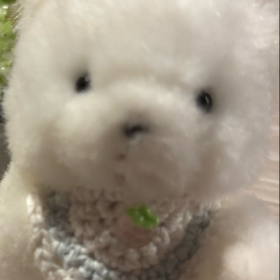 ぐら