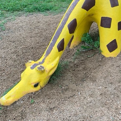 さいだー