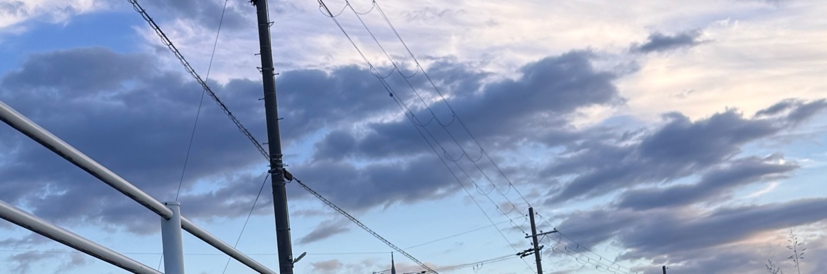 あひる