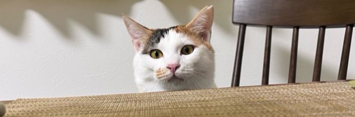 そめ
