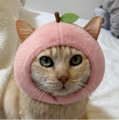 ももすけ