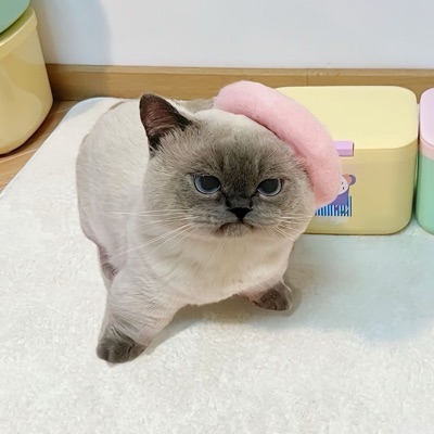 ぽやすみ