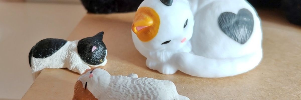 安芸むらさき