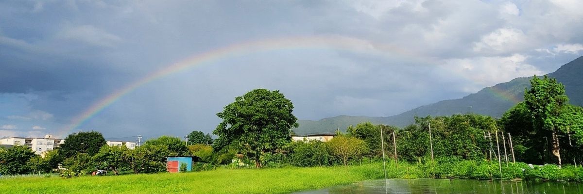 まさぽん