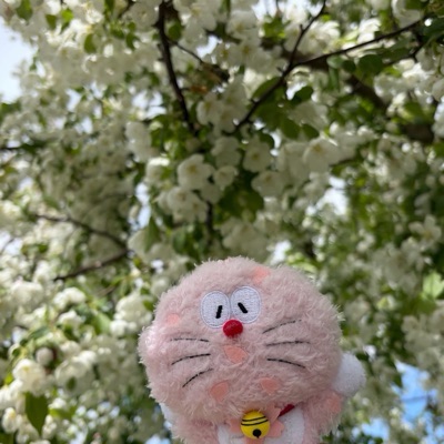 ぽんしゅ