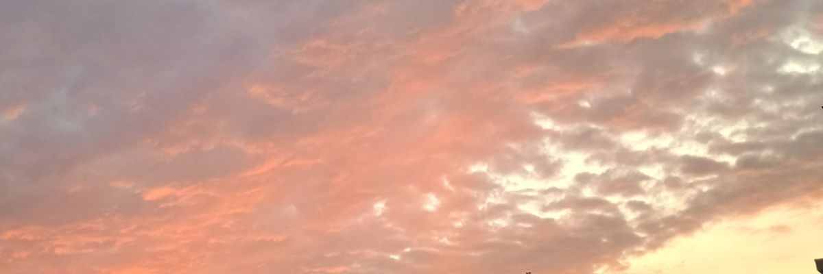 本のしおり