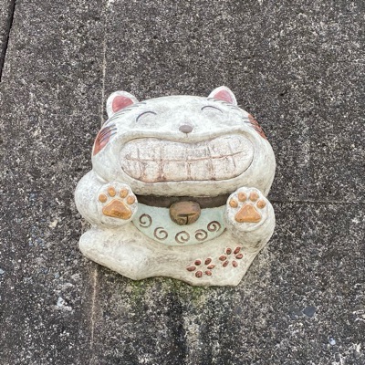 もちこ