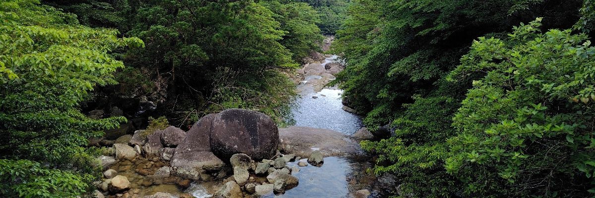 中山
