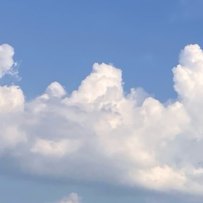 なおくん