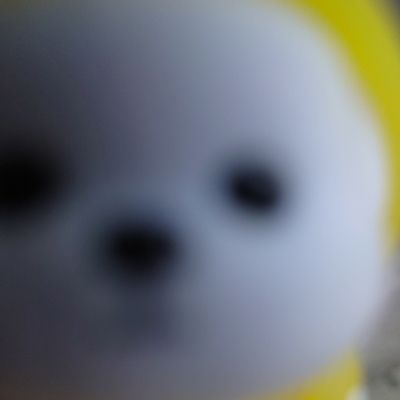 しろいいぬ