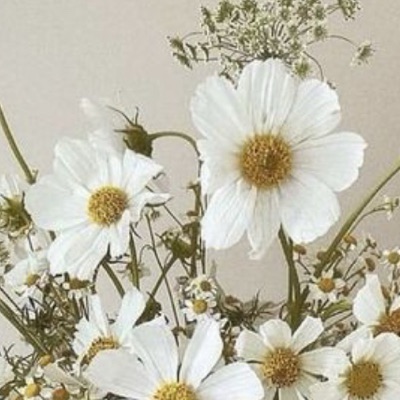 白花